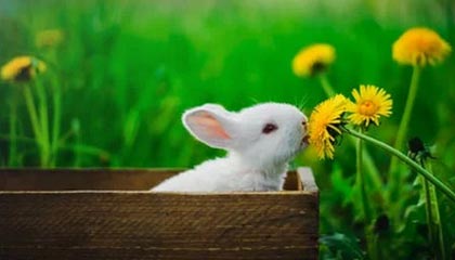 世界杯移动端观看平台-FIFA官方：印尼国家队领队因赛后推搡马宁被禁赛20场+罚款